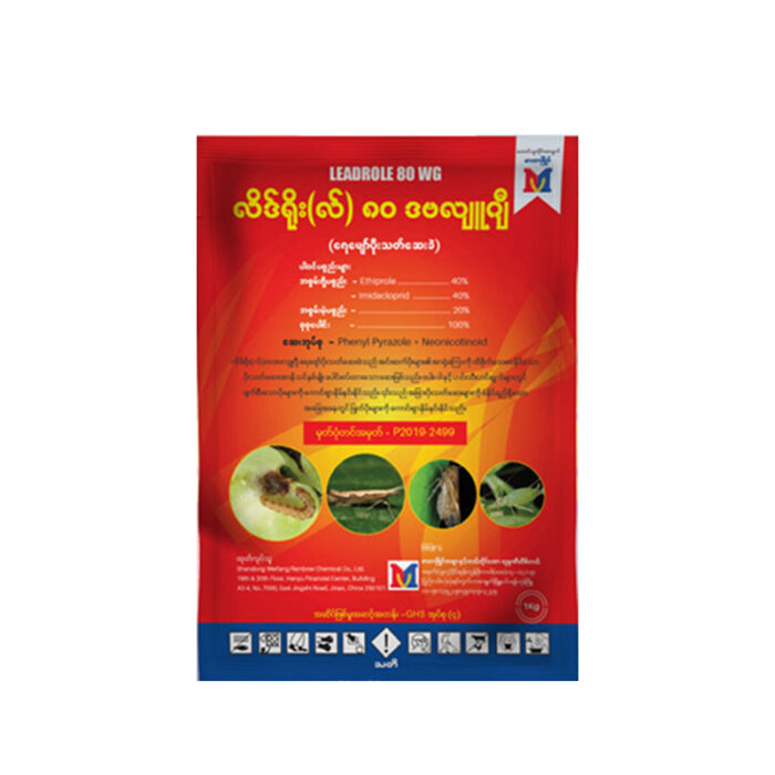 Leadrole-80WG