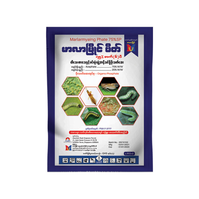 Marlarmyaing-Phate-75SP