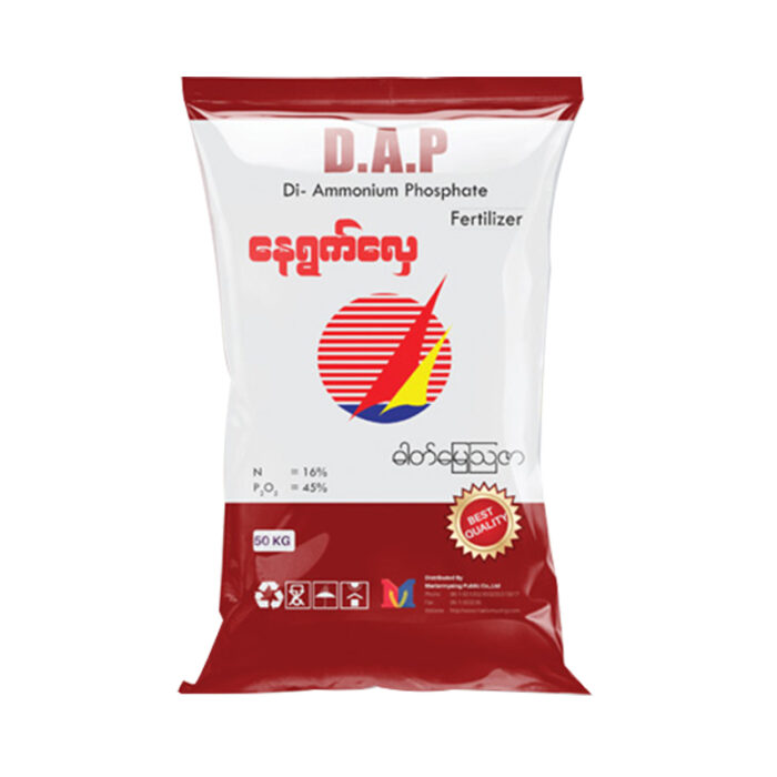Nay-Ywat-Hlay-DAP