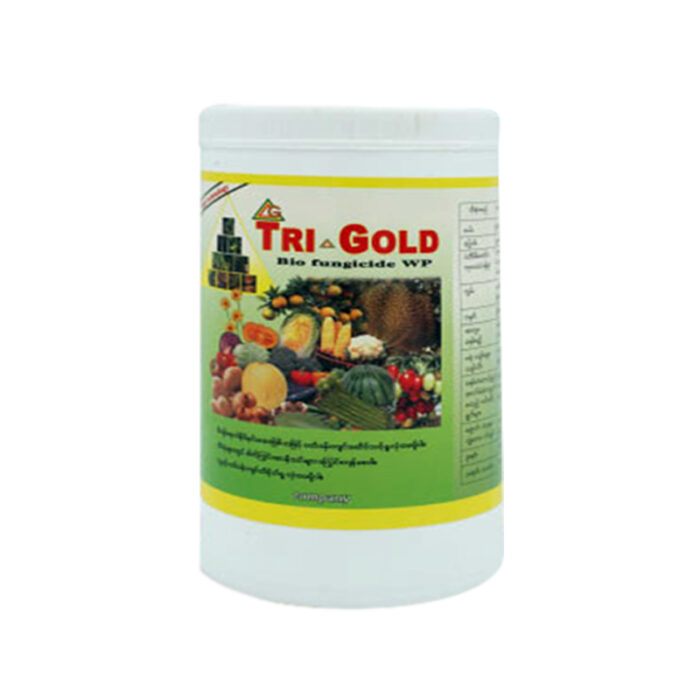 Tri-gold-WP